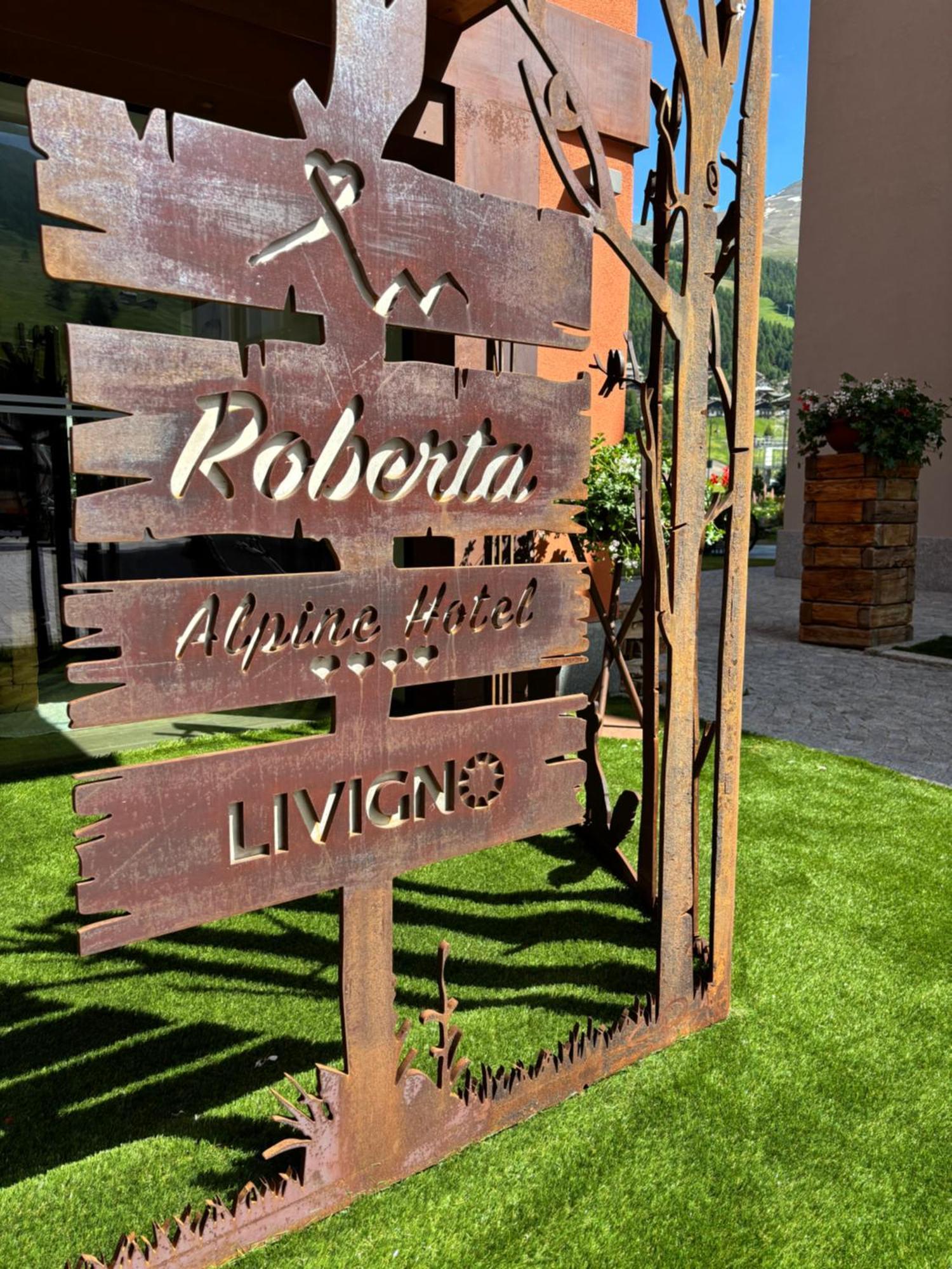 Hotel Roberta Alpine Adults Only 利维尼奥 外观 照片